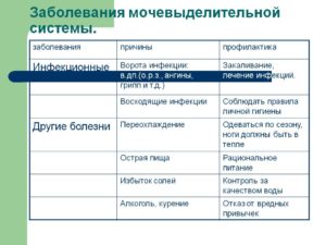 Профилактика болезней мочевыделительной системы