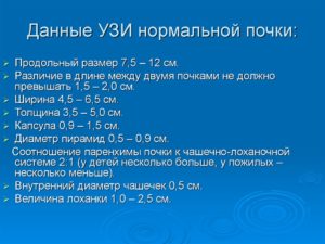 Размеры чашечек почки норма у взрослых