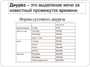 Суточная моча норма литров при беременности