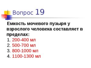Сколько вмещает мочевой пузырь взрослого человека
