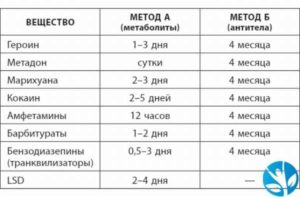 Сколько в моче держится гашиш