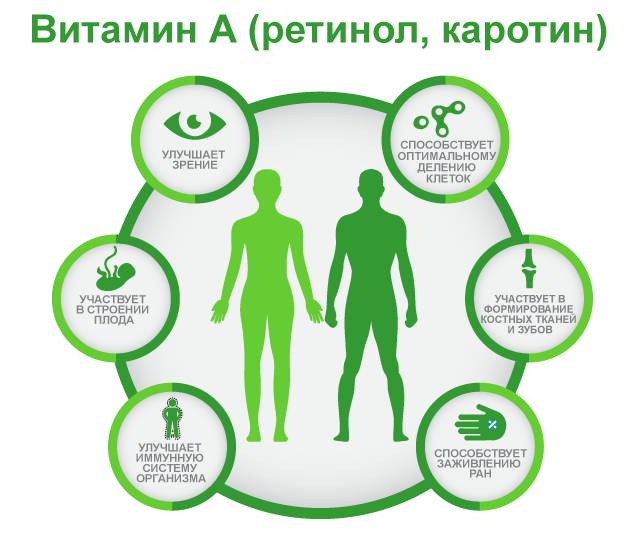 Польза витамина А ,витамин А, Ретинол, Vitamin A, бета-каротин, каротин