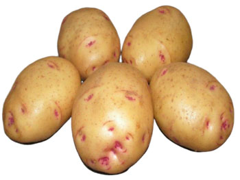 картофель