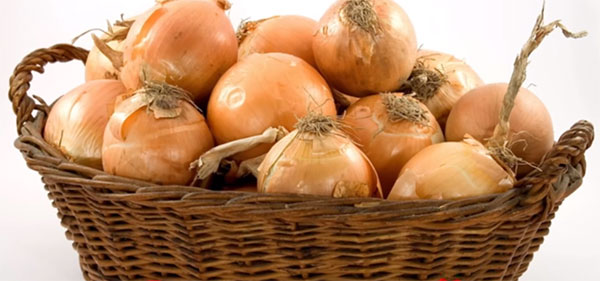 Лук
